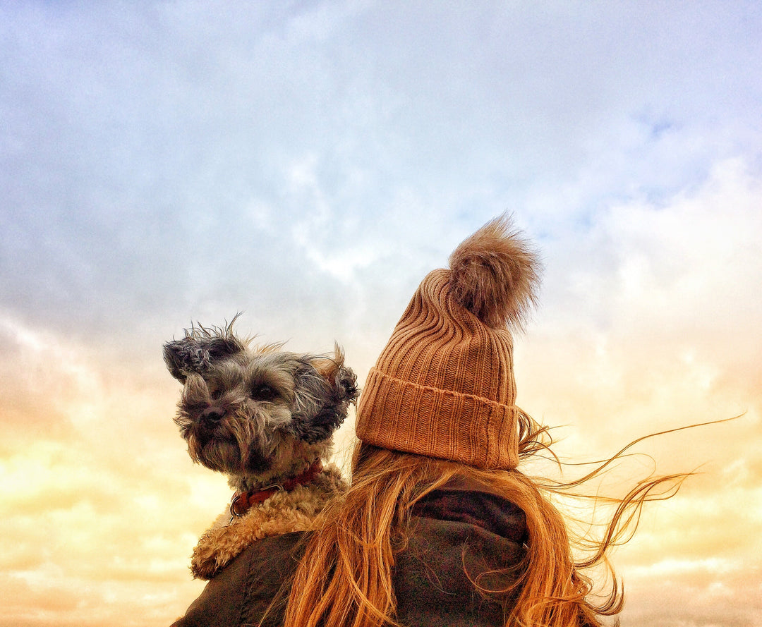 “Fall” into a New Routine! Helping our Pets Make the Leap